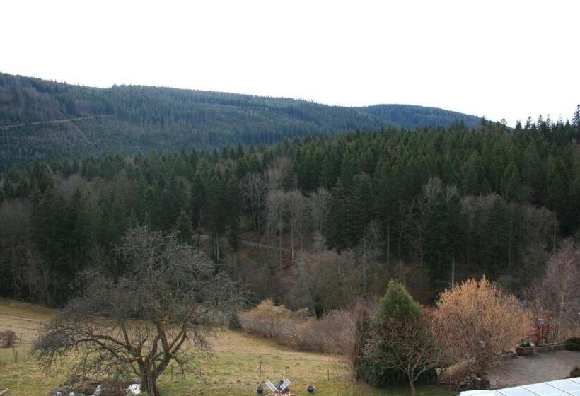 酒店 Schwarzwald Gasthof Hirsch