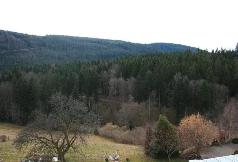 ホテル Schwarzwald Gasthof Hirsch