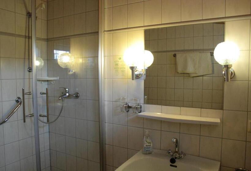 酒店 Schwarzwald Gasthof Hirsch