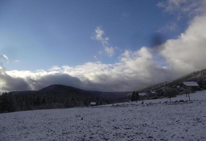 酒店 Schwarzwald Gasthof Hirsch