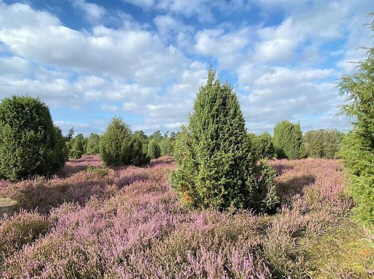 בית מלון כפרי Sonnenhügel