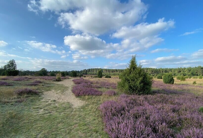 בית מלון כפרי Sonnenhügel