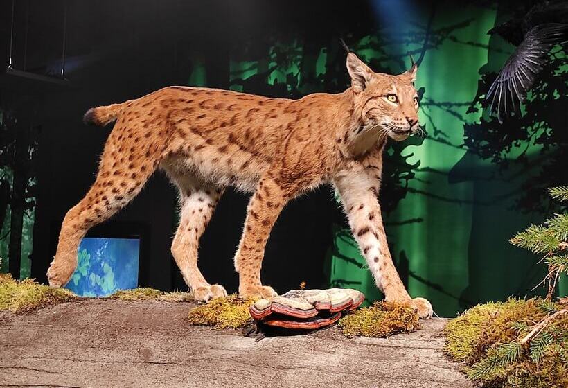 Wellness Hotel Garni Krone