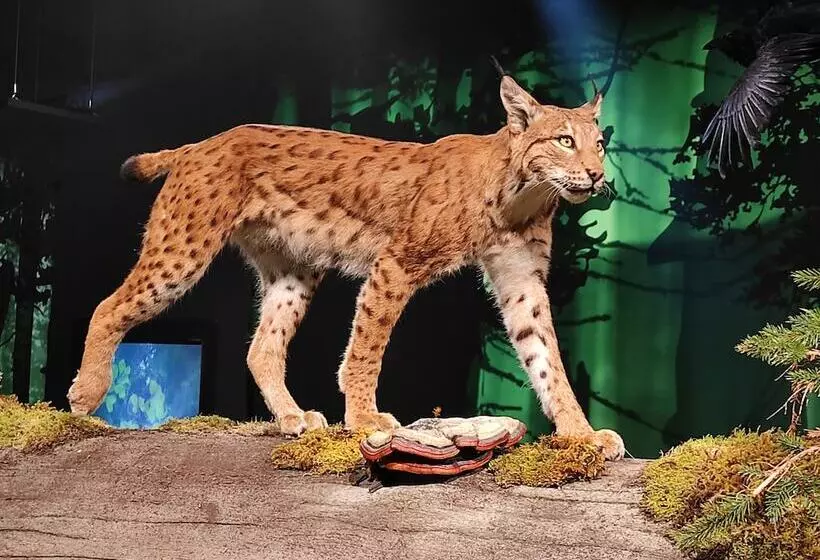 Wellness Hotel Garni Krone