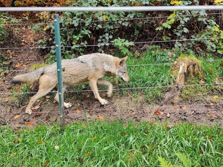 Wellness Hotel Garni Krone