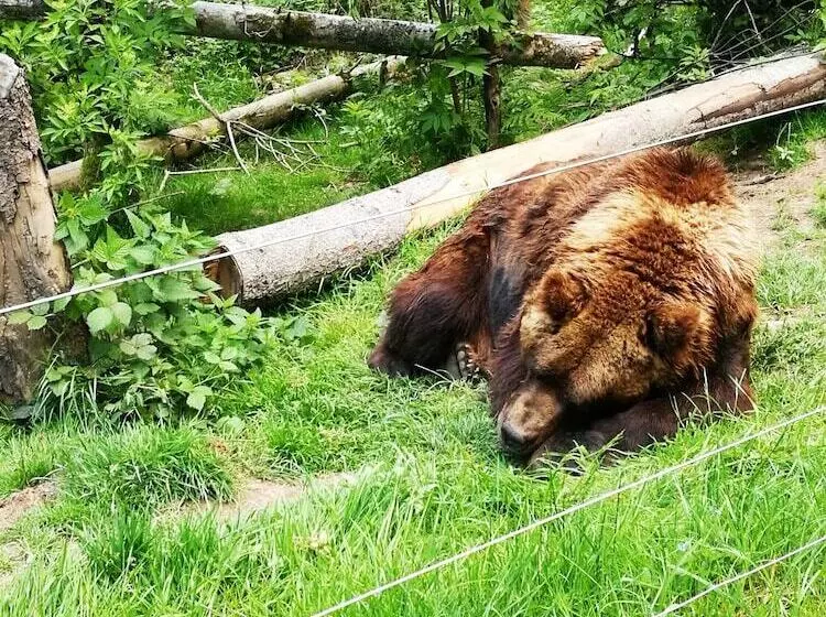 Wellness Hotel Garni Krone