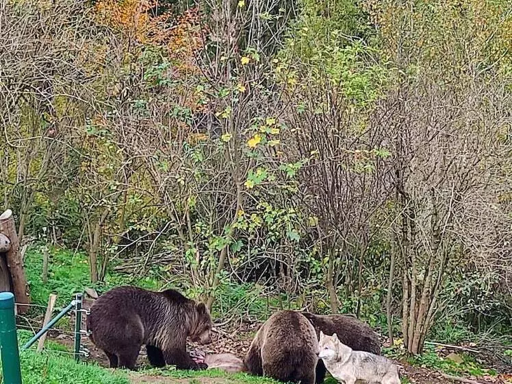 Wellness Hotel Garni Krone