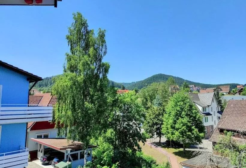 Wellness Hotel Garni Krone