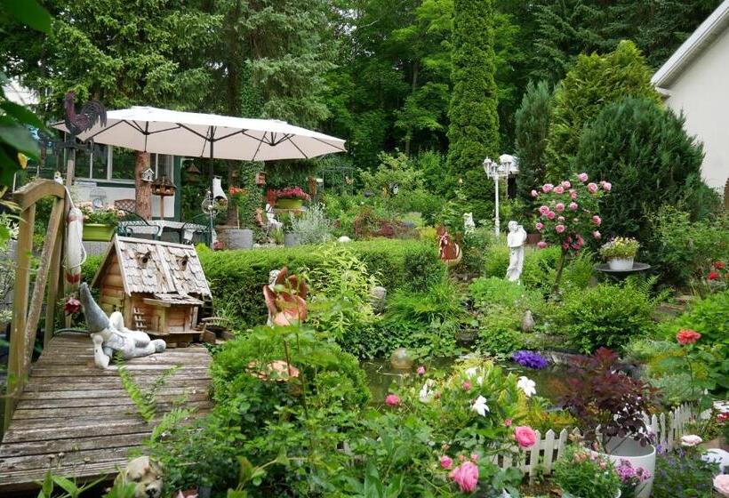 Wohlfühlhotel Saxonia