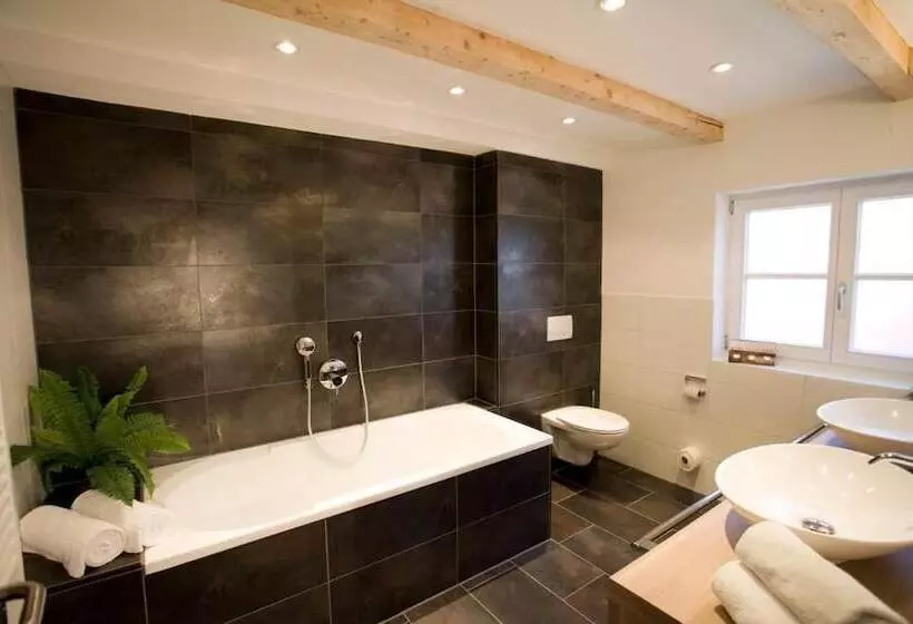 Alpin Lifestyle Hotel Löwen & Strauss