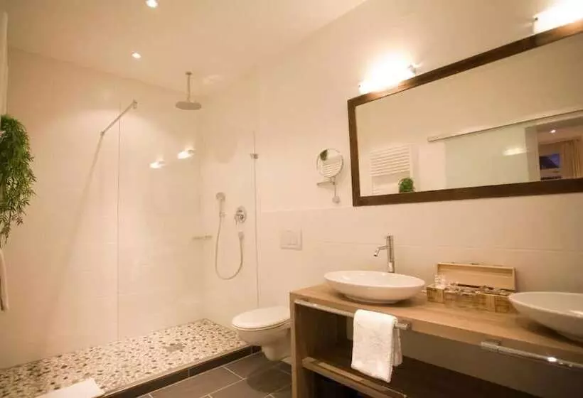 Alpin Lifestyle Hotel Löwen & Strauss