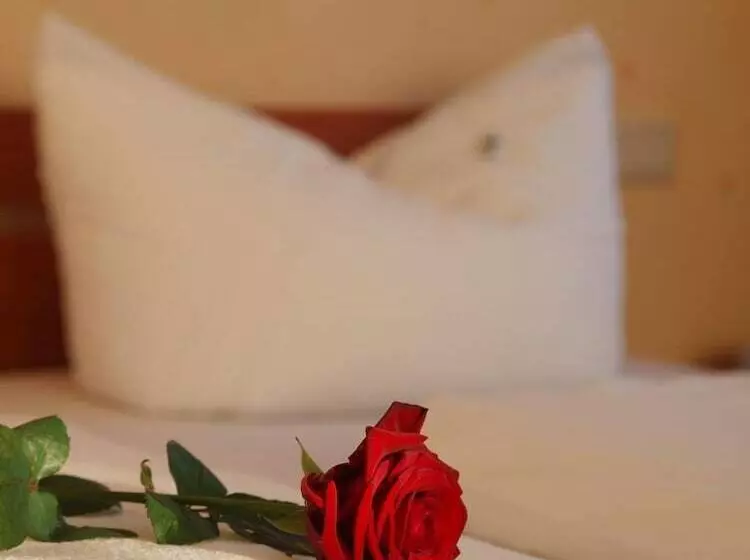 Altes Doktorhaus   Hotel Garni