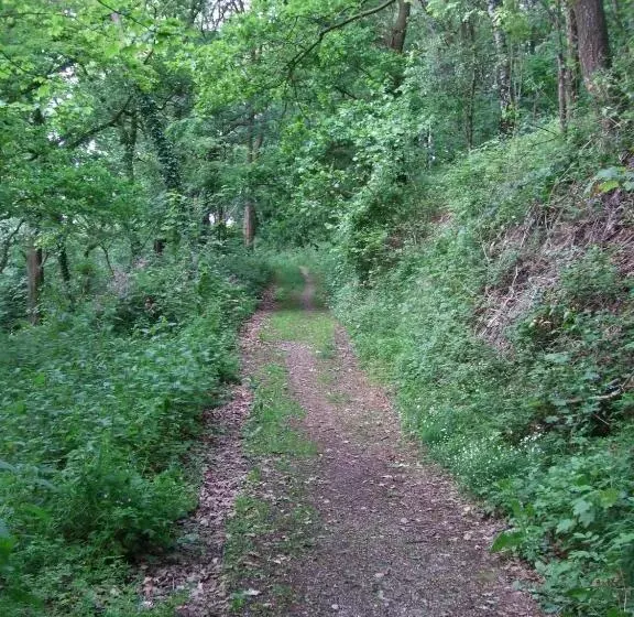 Parkhotel Hammerberg