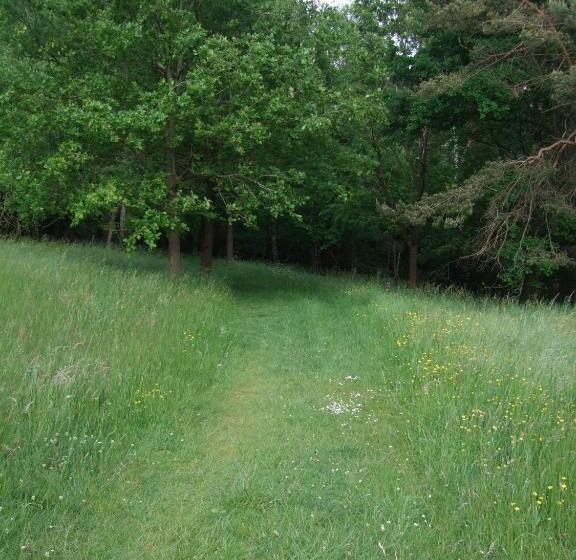 Parkhotel Hammerberg