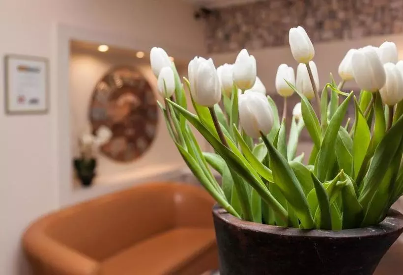 酒店 Angerland Garni