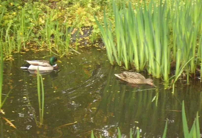 Отель Battenfeld