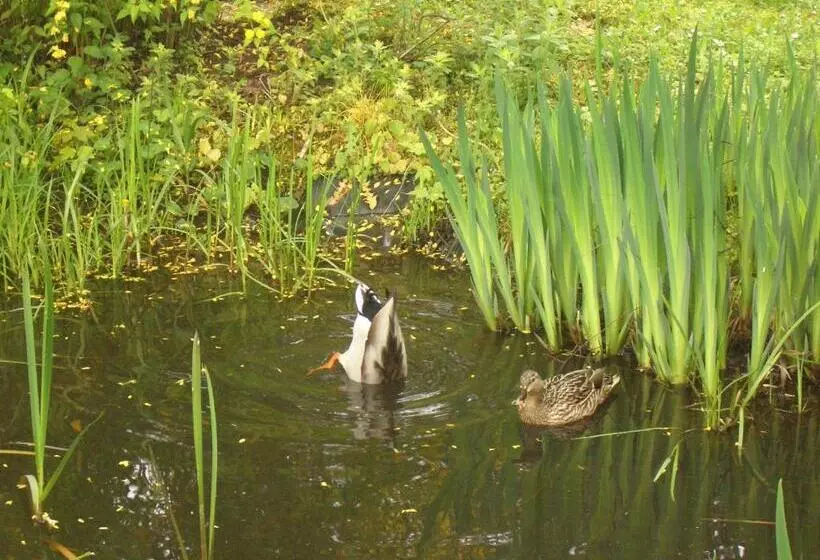 Отель Battenfeld