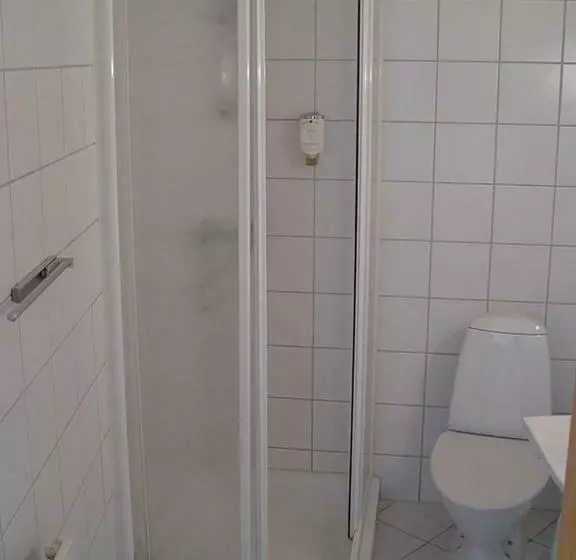 Отель Brauner Hirsch