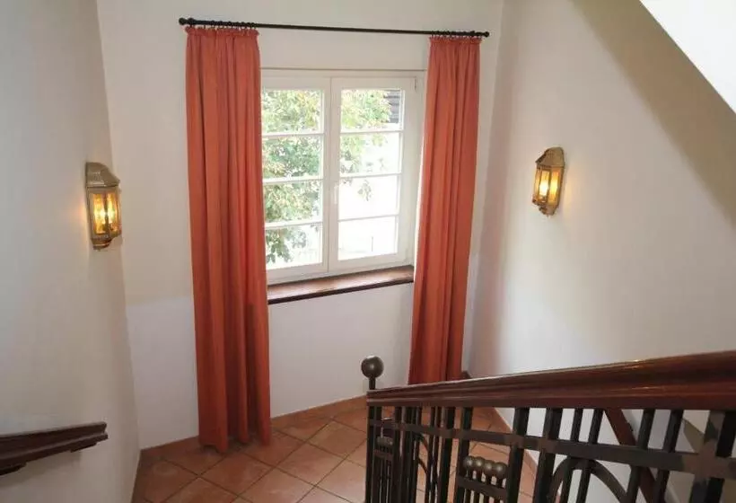 Отель Drei Linden