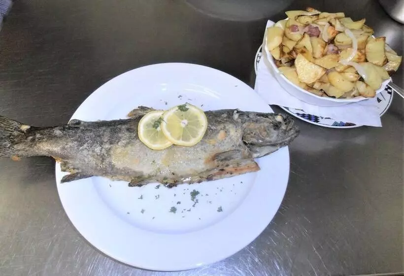 酒店 Gasthaus Schadde