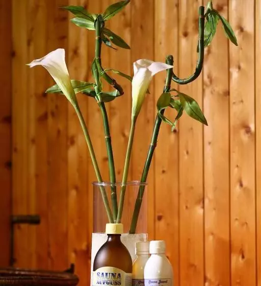 Szálloda Kaiserpfalz