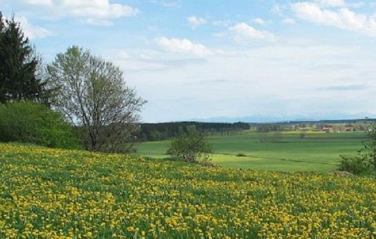 Отель Kneipp-kurhaus Bartholomäus