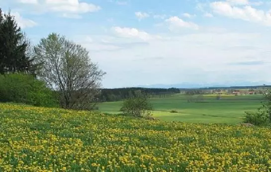 酒店 Kneipp-kurhaus Bartholomäus