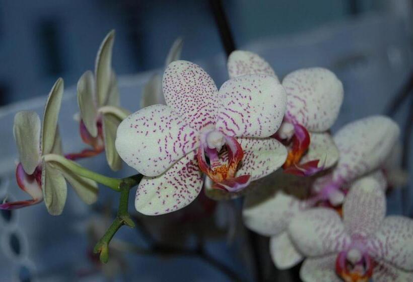 Отель Marienhof