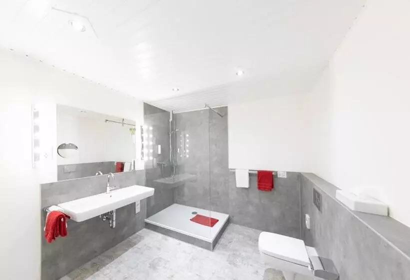 هتل Reichshof Garni