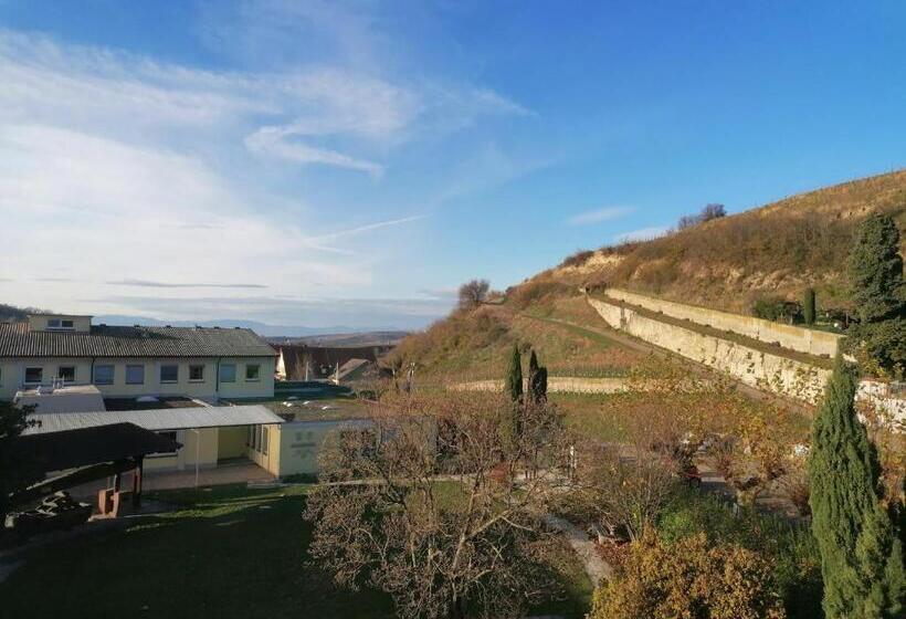 فندق Restaurant Rebstock