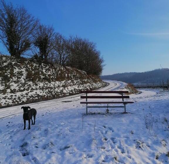 فندق Restaurant Rebstock