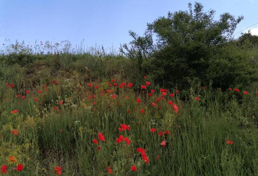 فندق Restaurant Rebstock