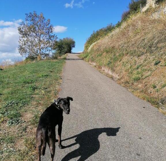 فندق Restaurant Rebstock