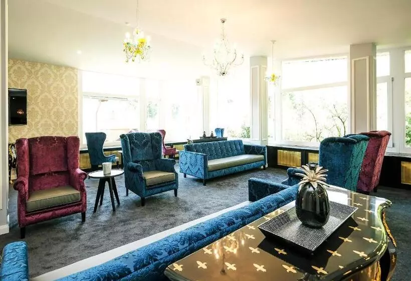 בית מלון כפרי Rex