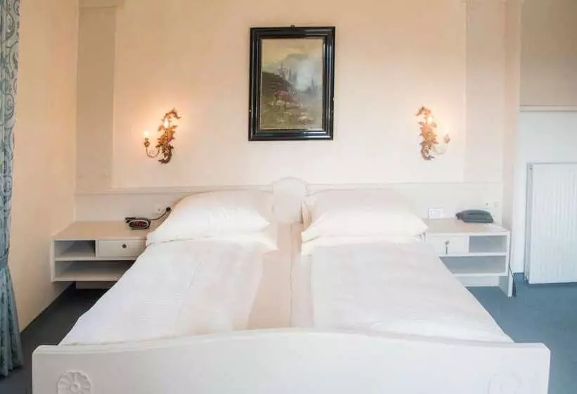 בית מלון כפרי Rex