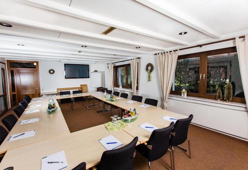 בית מלון כפרי Roeb