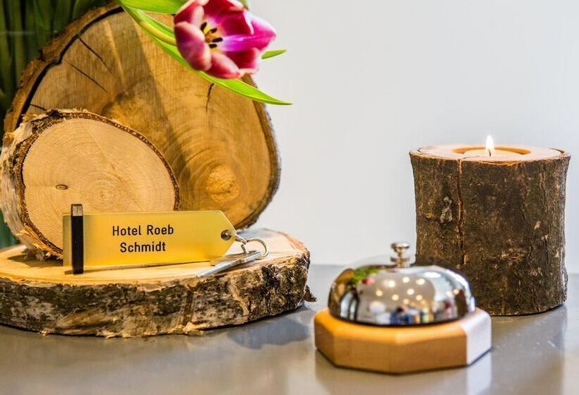 בית מלון כפרי Roeb