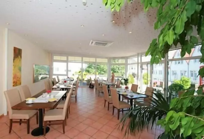 בית מלון כפרי Romer