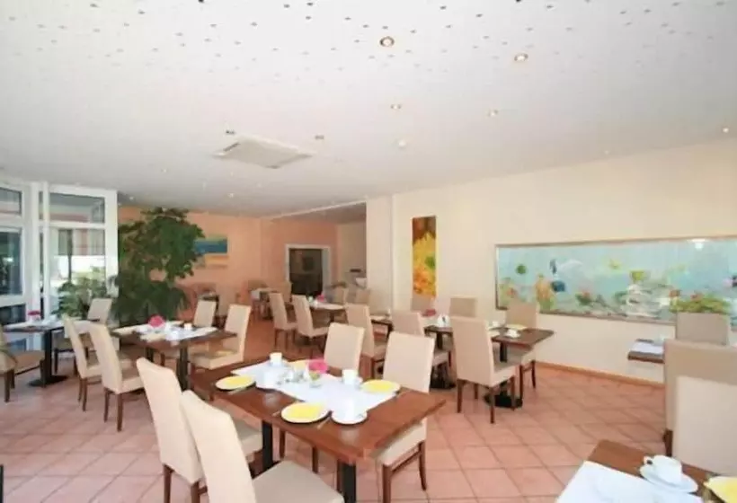 בית מלון כפרי Romer