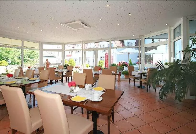 בית מלון כפרי Romer