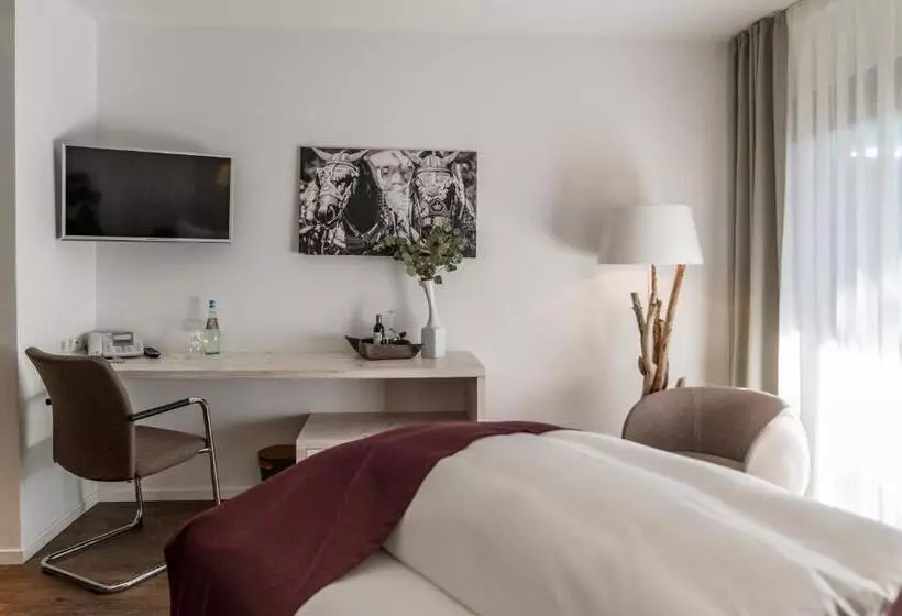 酒店 Villa Lago Garni