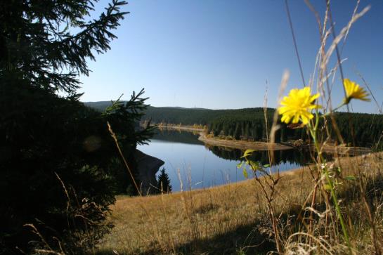 בית מלון כפרי Brusttuch