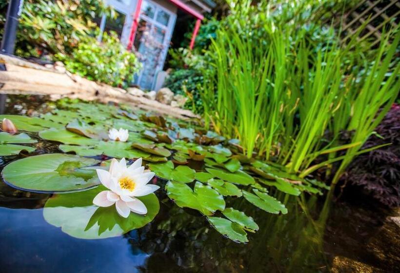 Boutique Hotel Villa Anna