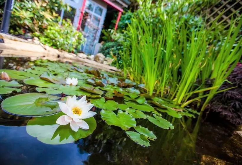 Boutique Hotel Villa Anna