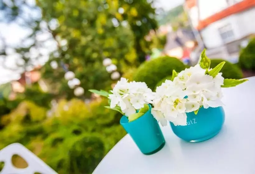 Boutique Hotel Villa Anna