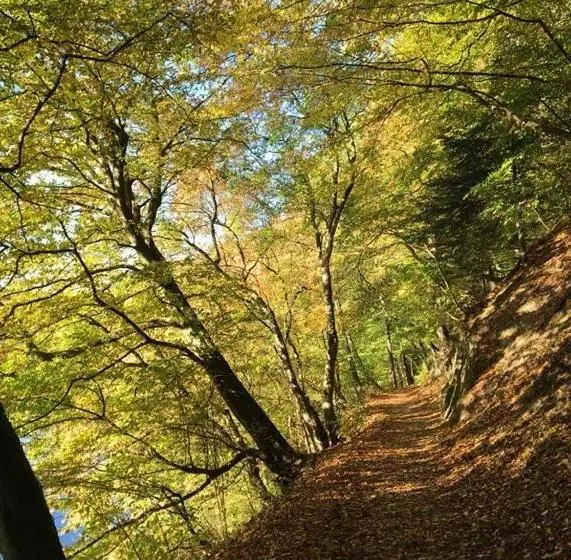 בית מלון כפרי Restaurant Bürgerstube