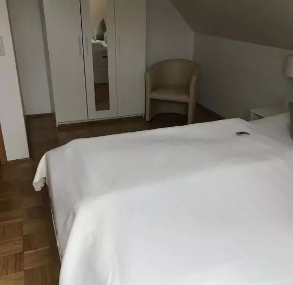 Отель Heinemann