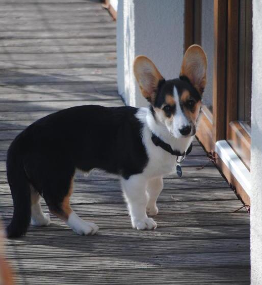 Отель Hinter Den Spiegeln