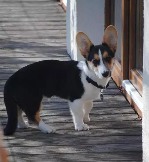 ホテル Hinter Den Spiegeln