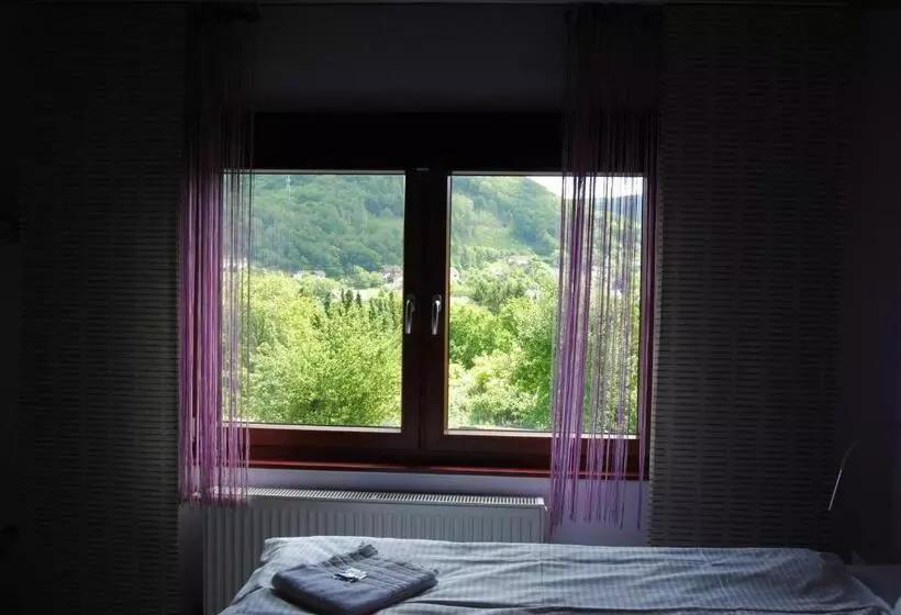 ホテル Hinter Den Spiegeln